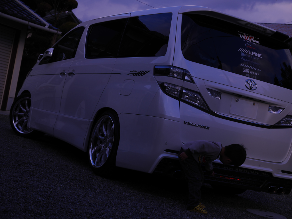 フェニックス！！