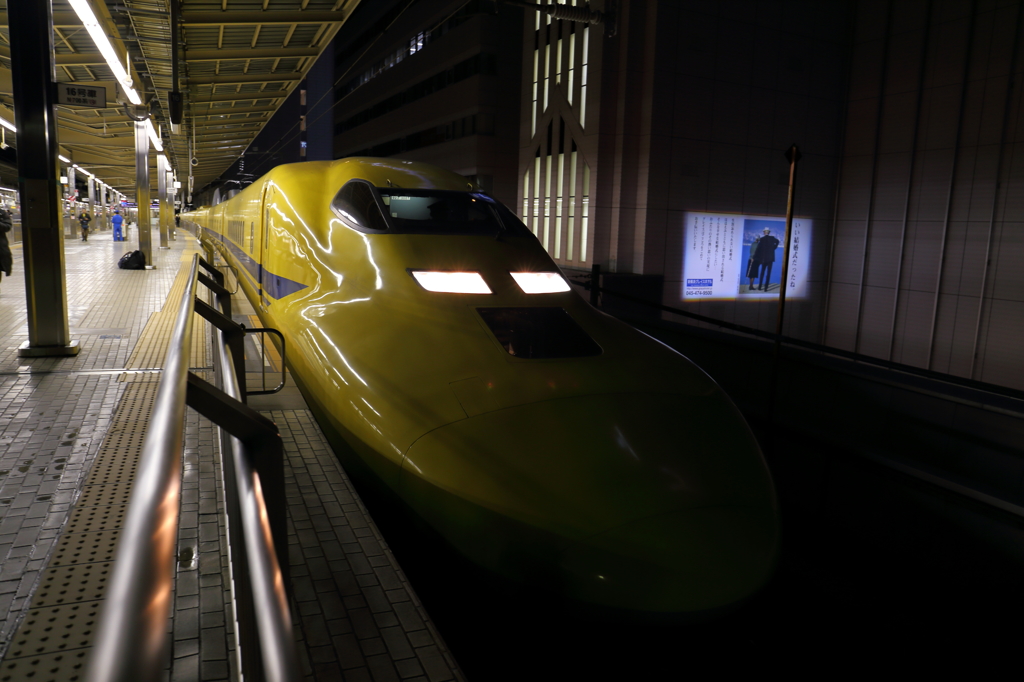黄色いアイツ
