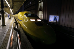 黄色いアイツ