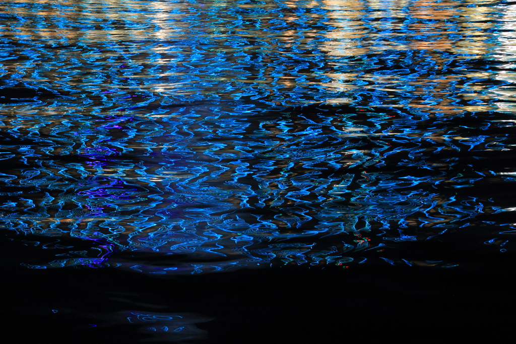 夜光虫の群れ