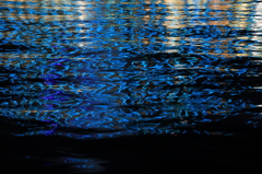 夜光虫の群れ