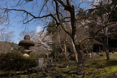 水車小屋と桜のある風景
