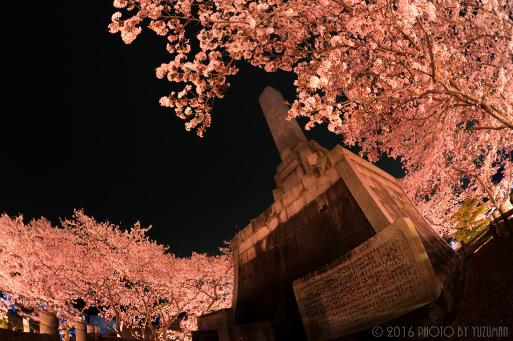 三ヶ瀧稲荷大明神の桜（5/5）