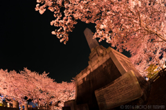 三ヶ瀧稲荷大明神の桜（5/5）