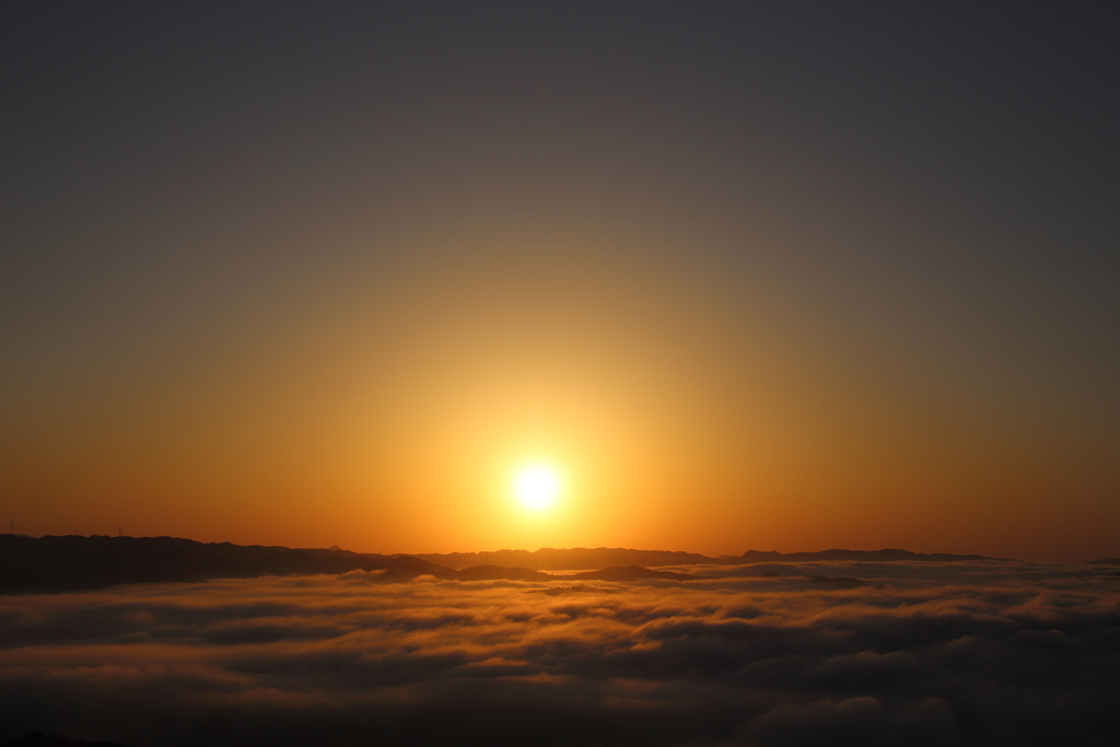 sunny side up