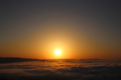 sunny side up