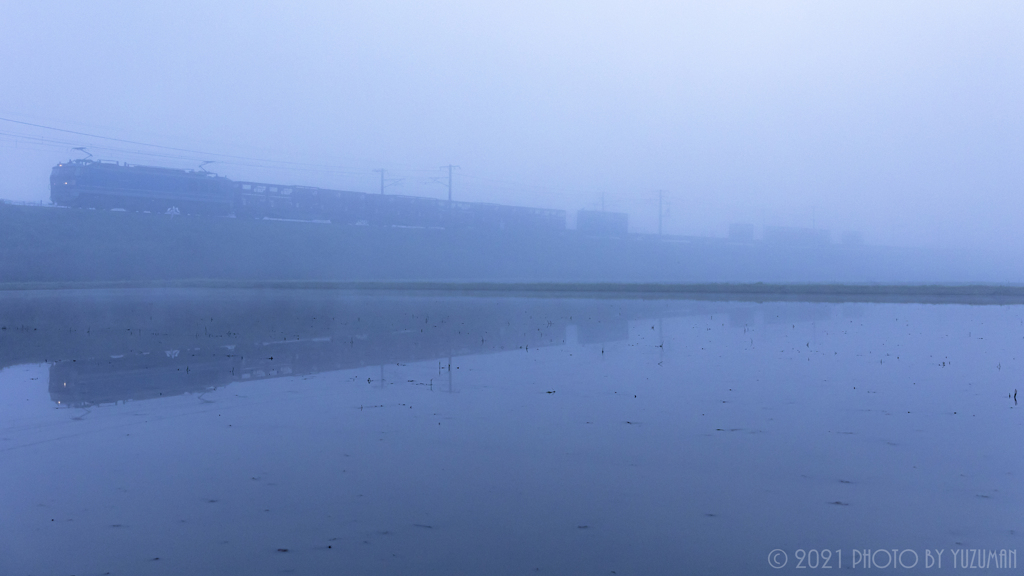 濃い霧の朝　～ゴトーさん編～