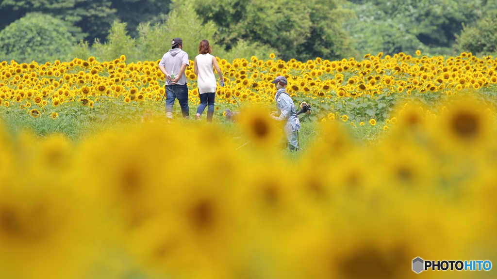 若いもんはエエのぉ～