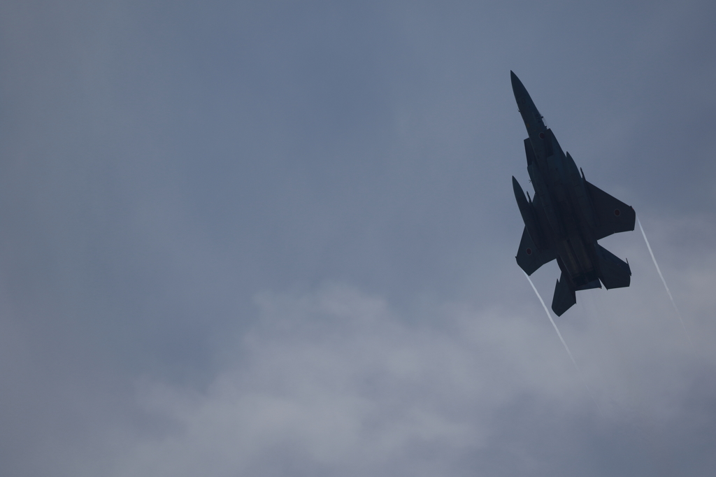 2015 美保基地 航空祭(7/50)