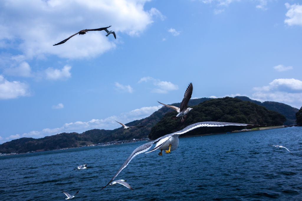 夏に向かって