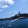 夏に向かって