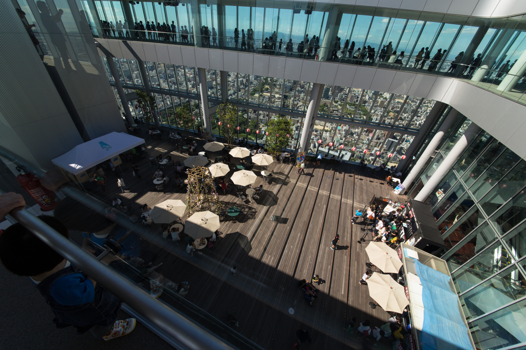 HARUKAS 300（8/25）