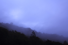 生憎の雨・・・