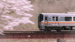 一本桜と姫新線