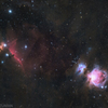 Orion