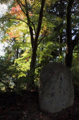 光の射す方へ誘われて・・・