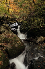 また逢う日まで