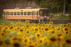 夏を駆ける列車