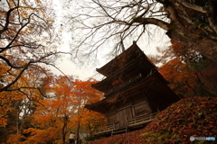 '16 秋の高源寺 （5/6）