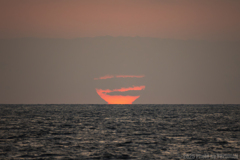 達磨夕日
