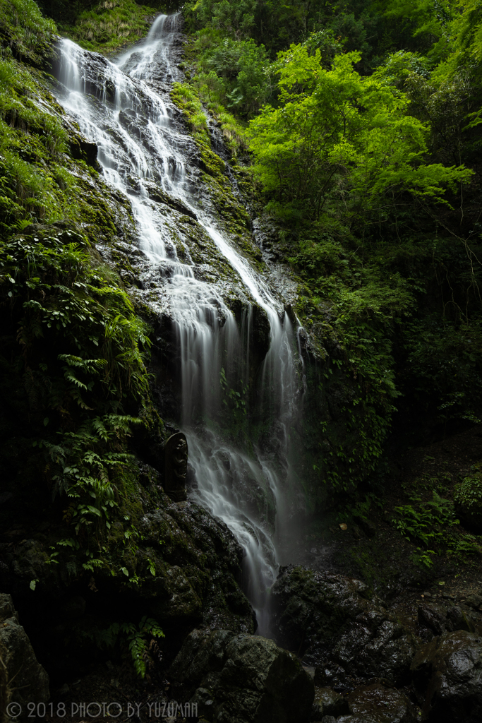 梅雨時の飛龍の滝（2/4）