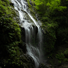 梅雨時の飛龍の滝（2/4）