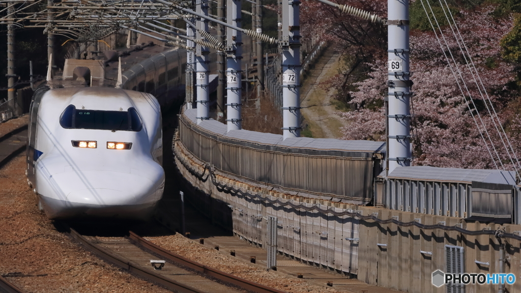 SAKURA 700系(C18)