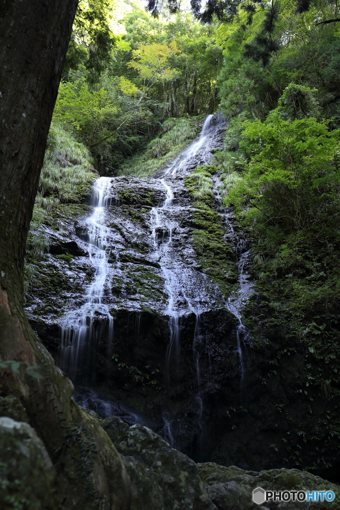 夏・飛龍の滝（3/3）