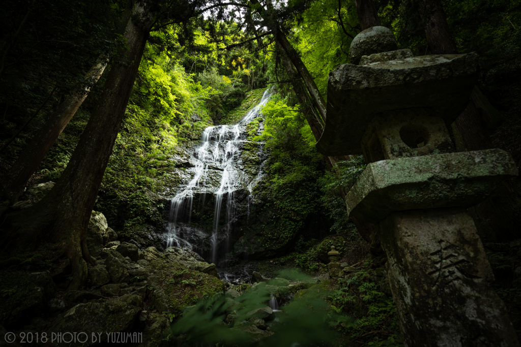 梅雨時の飛龍の滝（1/4）