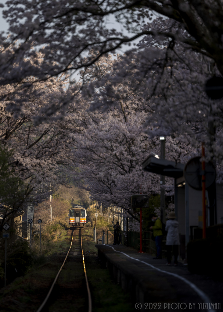 光差し込むローカル線