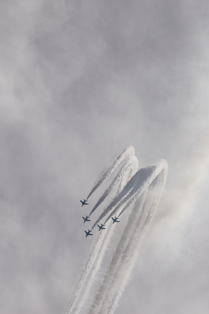 2015 美保基地 航空祭(36/50)