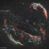 魅惑の網状星雲'23