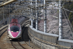 春ラストランのキティ