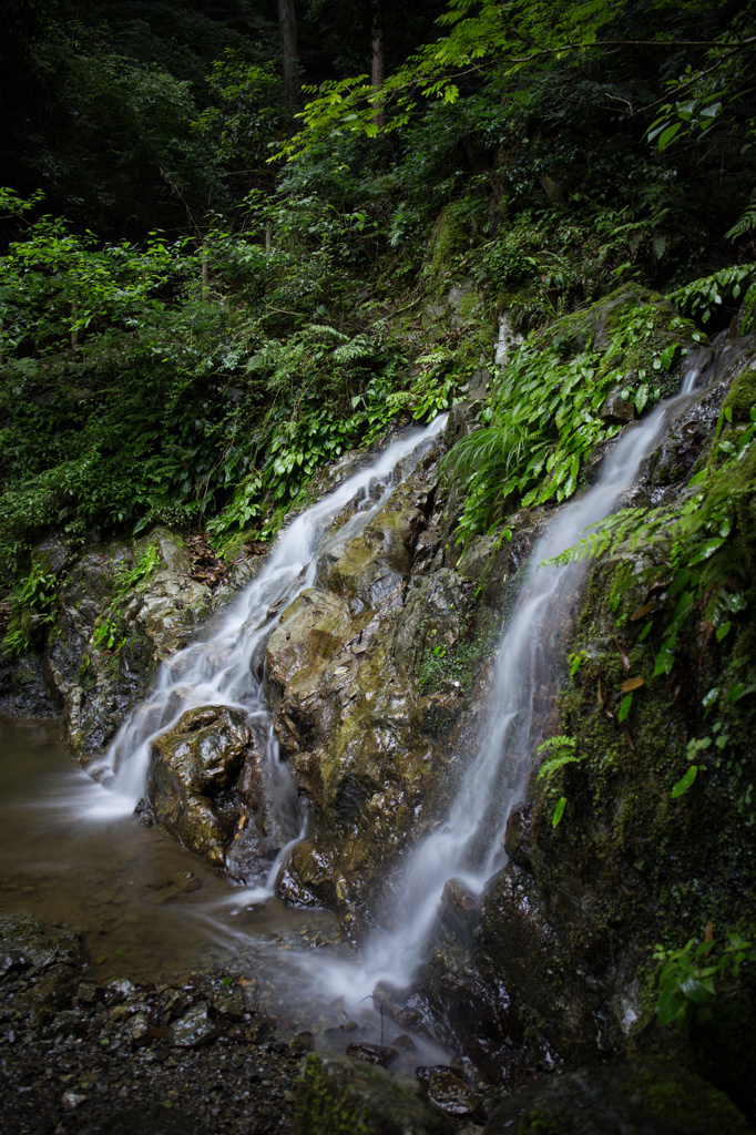 飛龍の滝（下部）