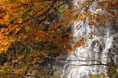 天滝と紅葉