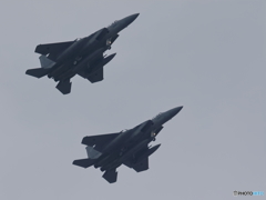 美保基地 航空祭2016（9/43）