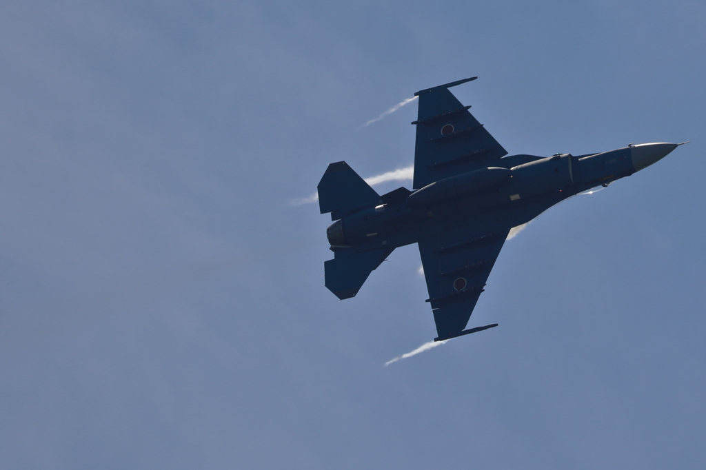 2015 美保基地 航空祭(9/50)