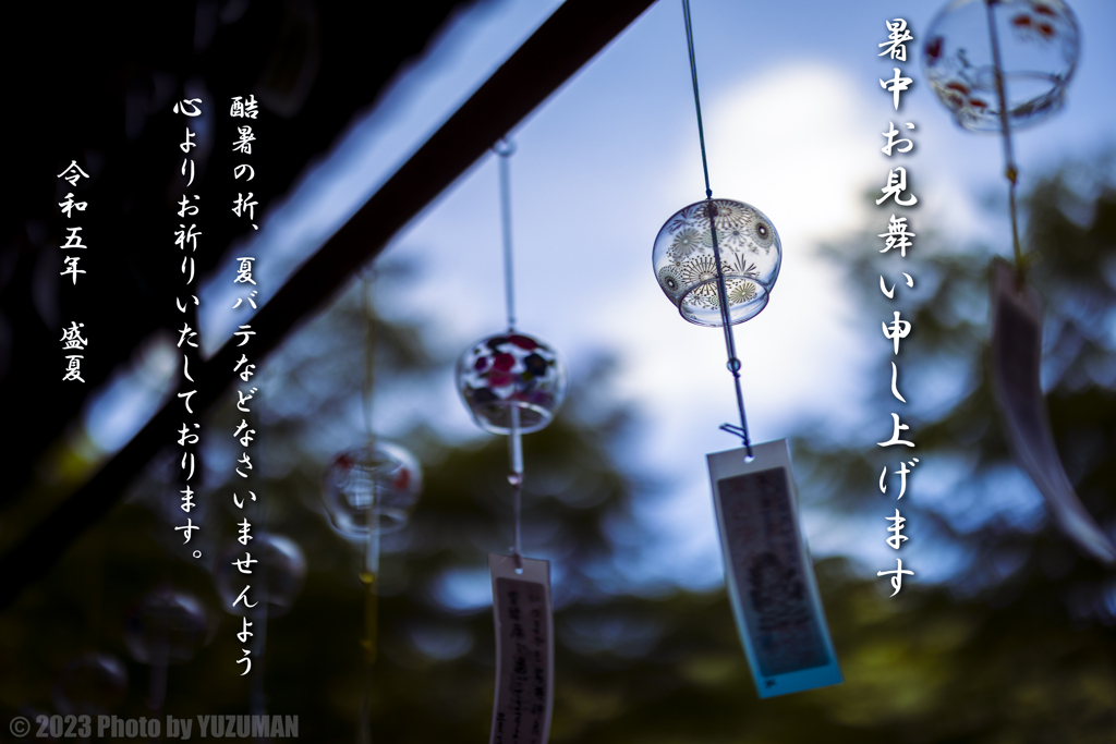 暑中お見舞い申し上げます