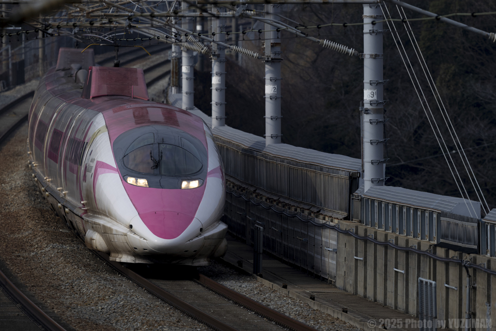 師走のキティちゃん