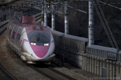 師走のキティちゃん