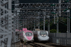 Hello!! Hello Kitty Shinkansen（１３／１３）