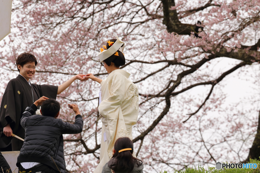 醍醐の花嫁