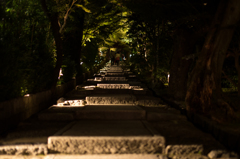 京都ぶらり旅－夜の部－（13/24）