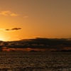 木材港の夕景