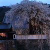 光福寺のライトアップ(1/14)