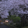 桜トンネルの駅