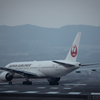 赤い鶴