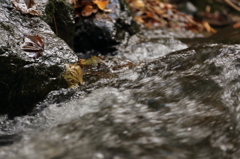 渓流と落ち葉