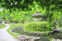 新緑を求めて