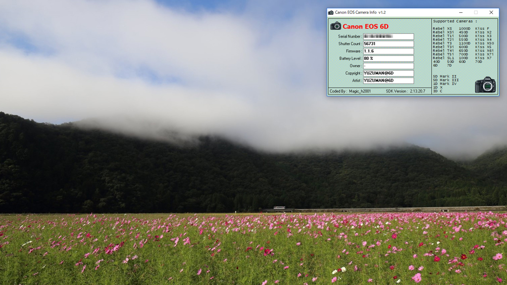 6Dのシャッター回数を調べるの巻